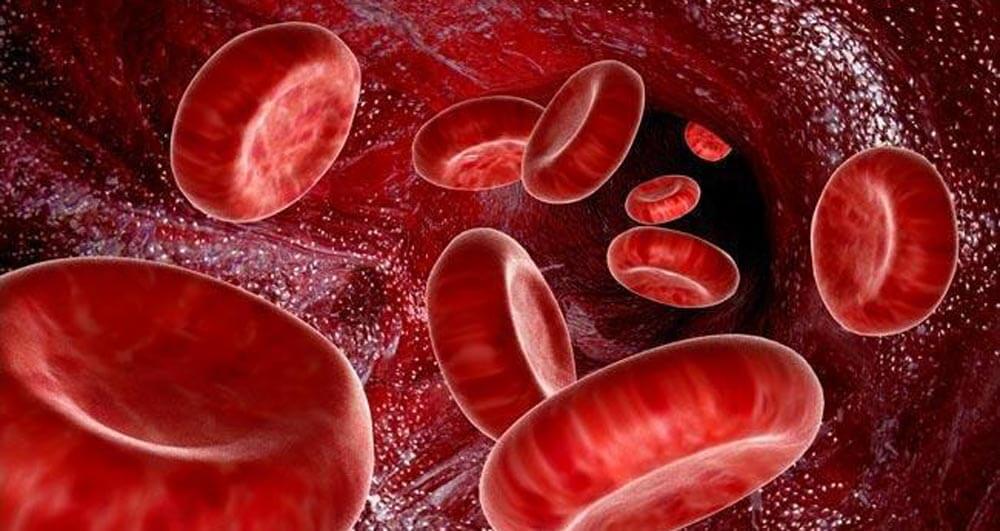 Kan blodtype påvirke en persons karakter?