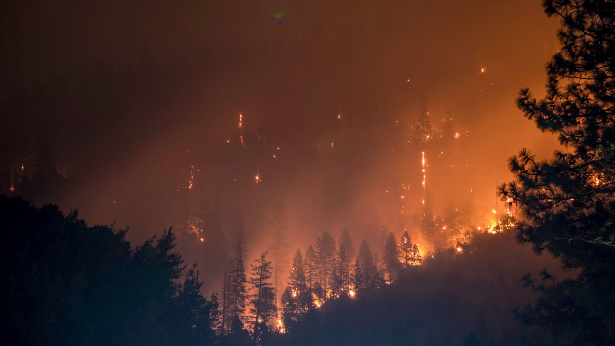 Criada a ferramenta para a prevenção de incêndios florestais. Como funciona?