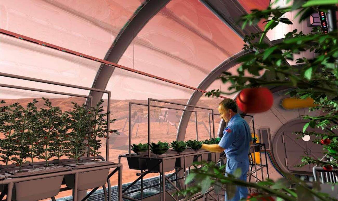 Er det mulig å få planter til å vokse i måne-og Martian jord?