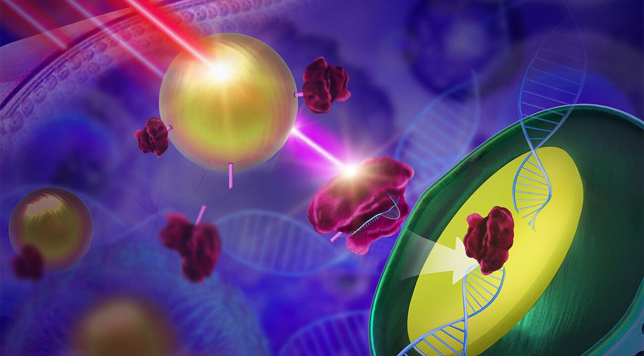 의 편집장으로서의 게놈 CRISPR 에서 박테리아