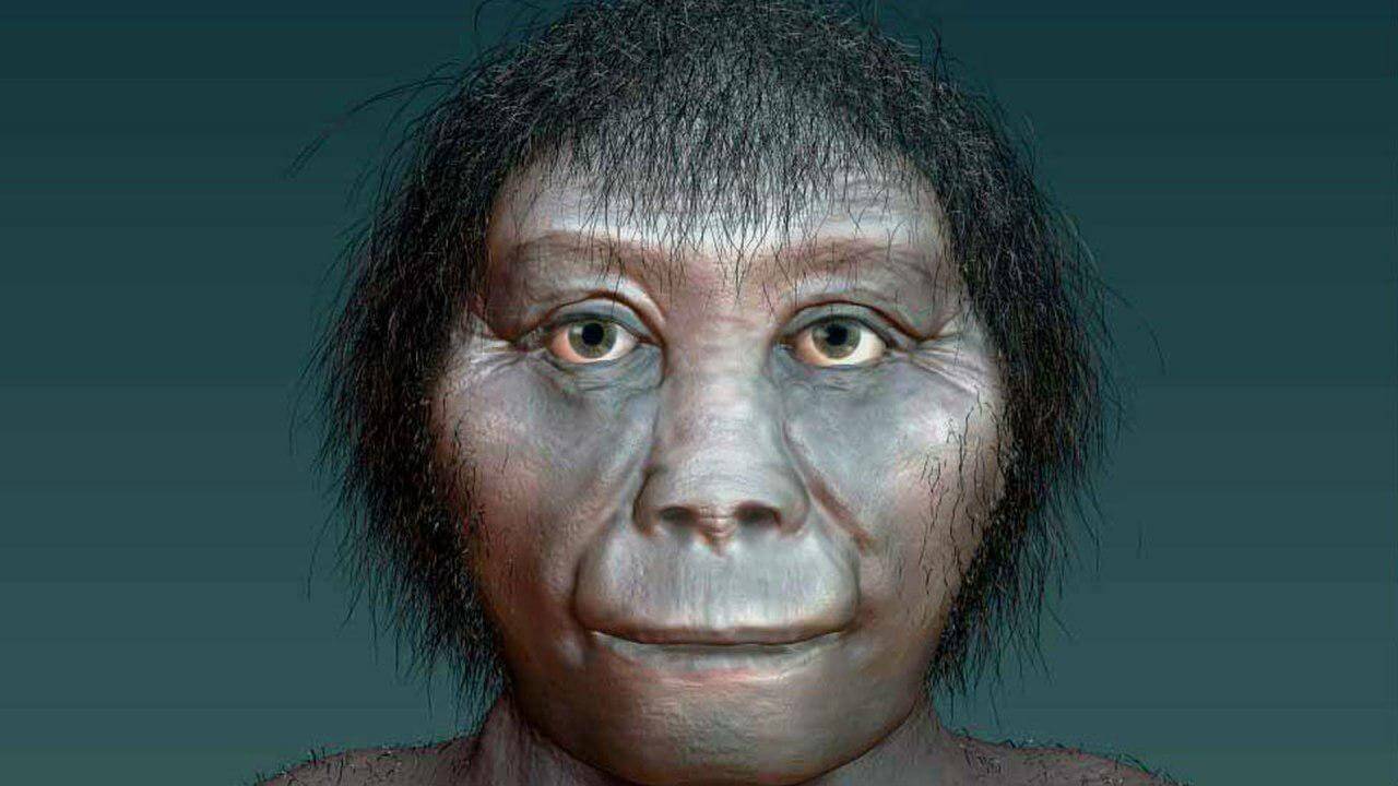 Por que extinto humanos parentes foram 