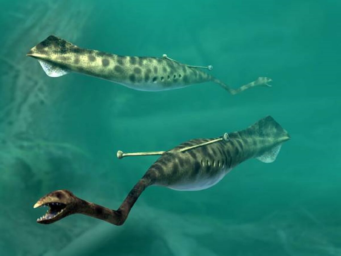 Hvem er Tully monster og hvem som eier den mystiske fossiler?