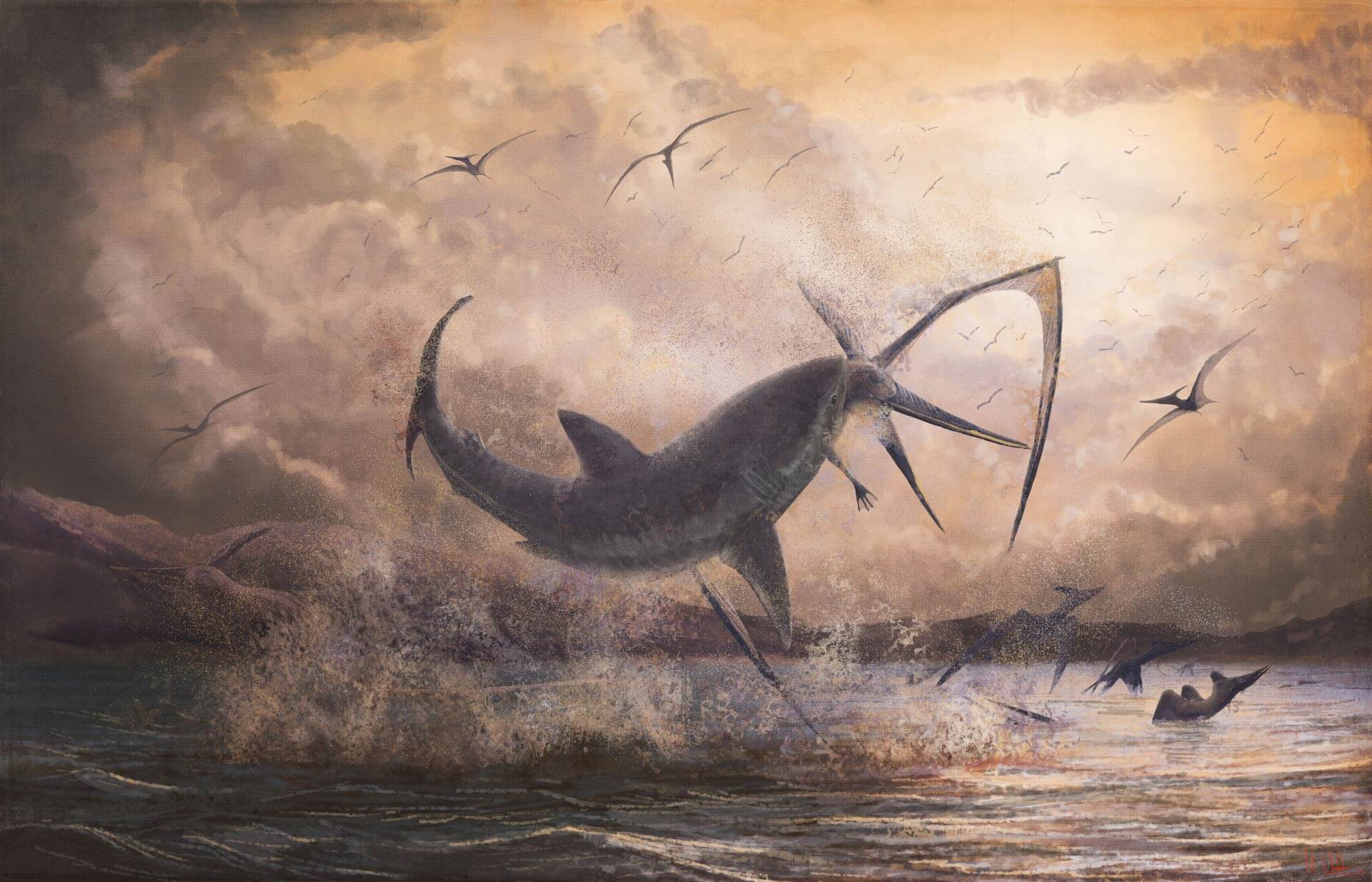 Fant restene av tidligere ukjente arter av hai
