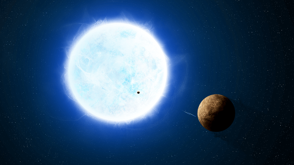 Can there be life next to a white dwarf?