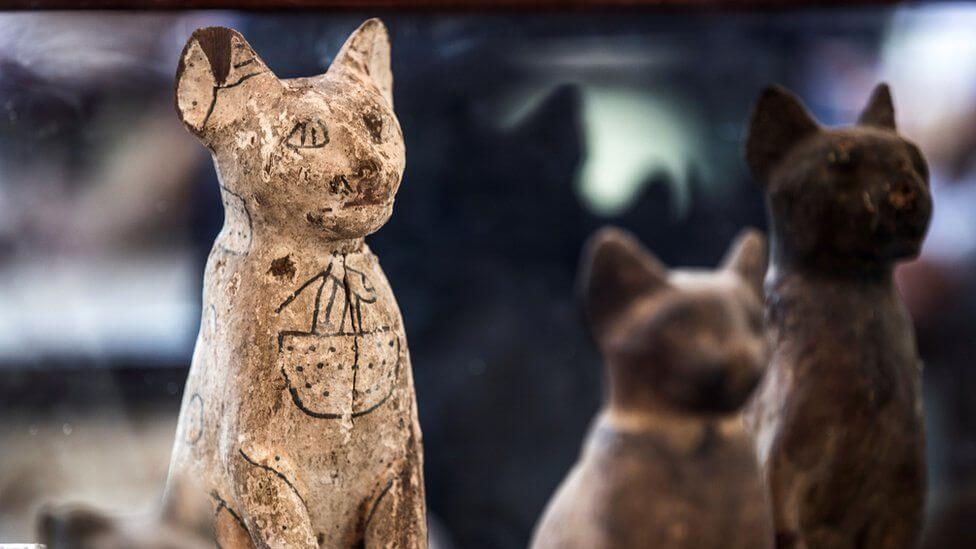 이집트의 미라를 발견 사자와의 동상 행운의 플라밍고. 왜 이러한 발견되었다 더 많은?
