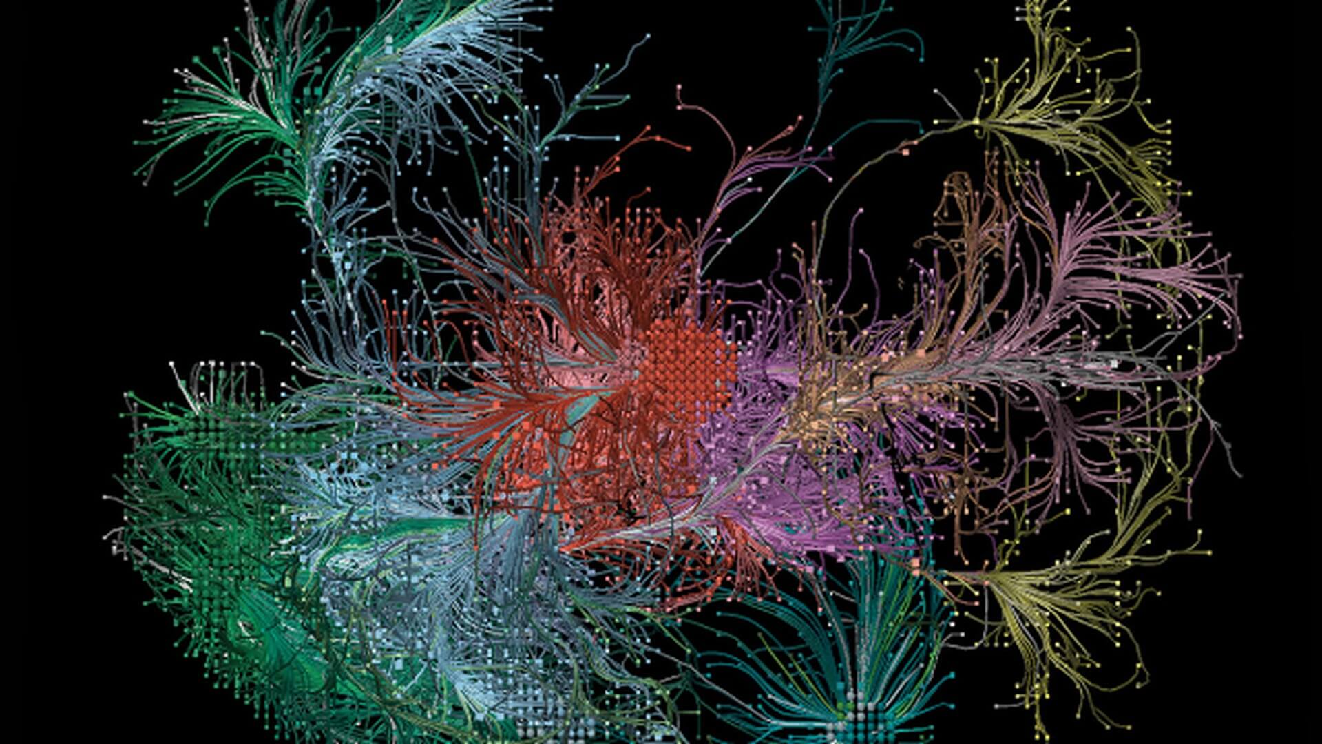 Como las células del cerebro constituyen el mapa de los recuerdos?