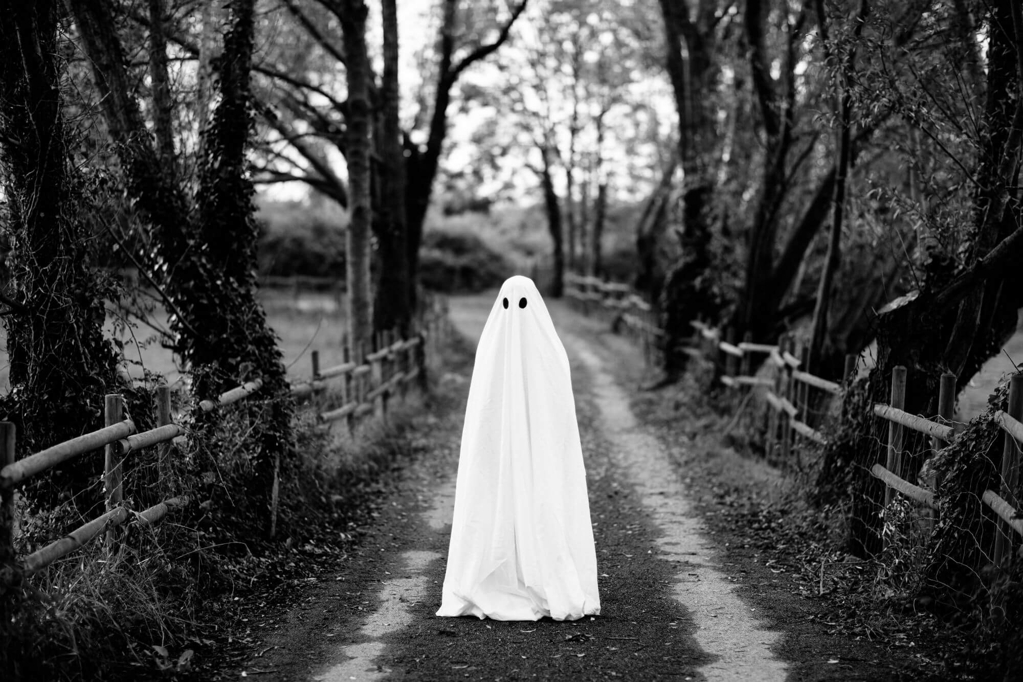 Afraid of ghosts? Scientists say it's because you yourself want