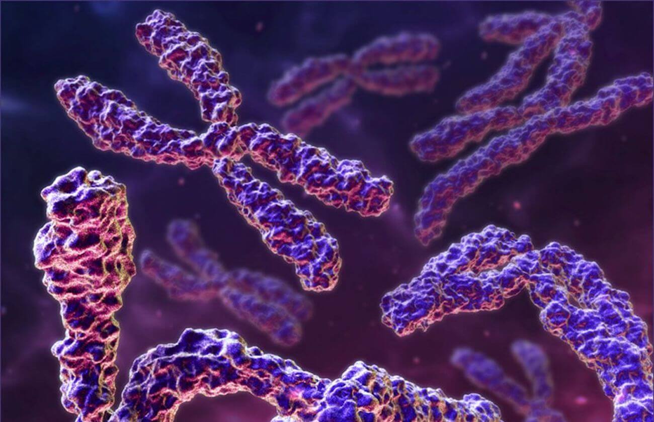 Os cientistas inverteram distúrbios associados com a síndrome de Down