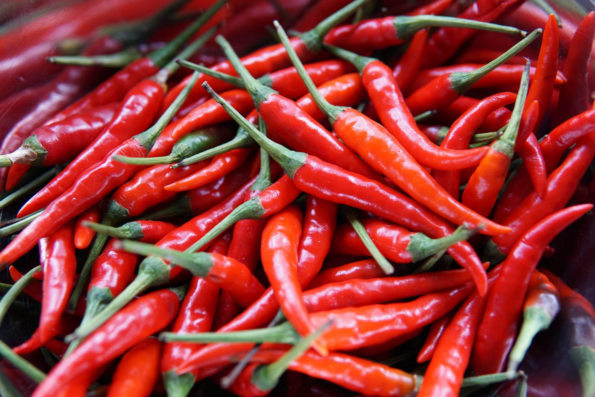 Fra hva sykdommer kan spare regelmessig inntak av chili?