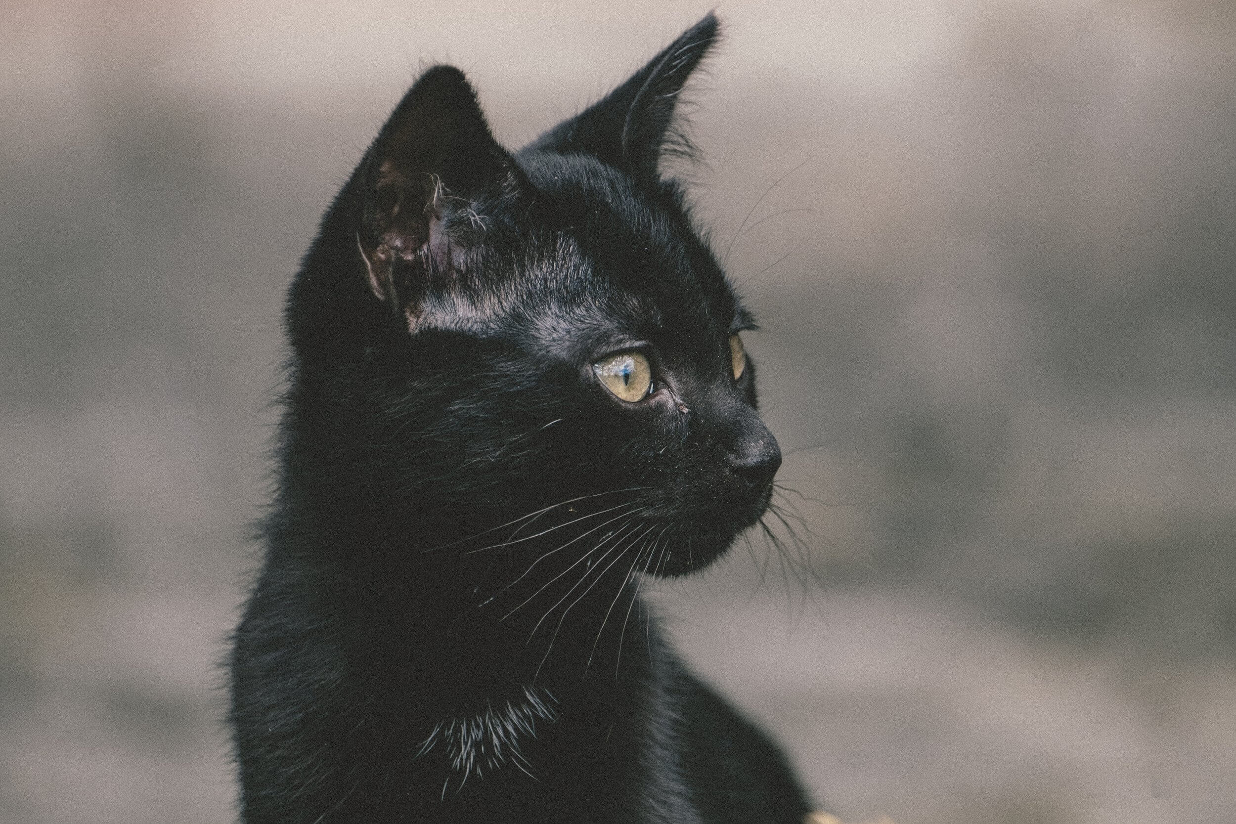 La superstición, desde el punto de vista de la ciencia: ¿por qué creemos en lo sobrenatural?