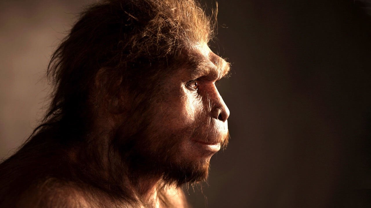 Discovered the remains of human ancestors are changing our understanding of the evolution of Homo Sapiens