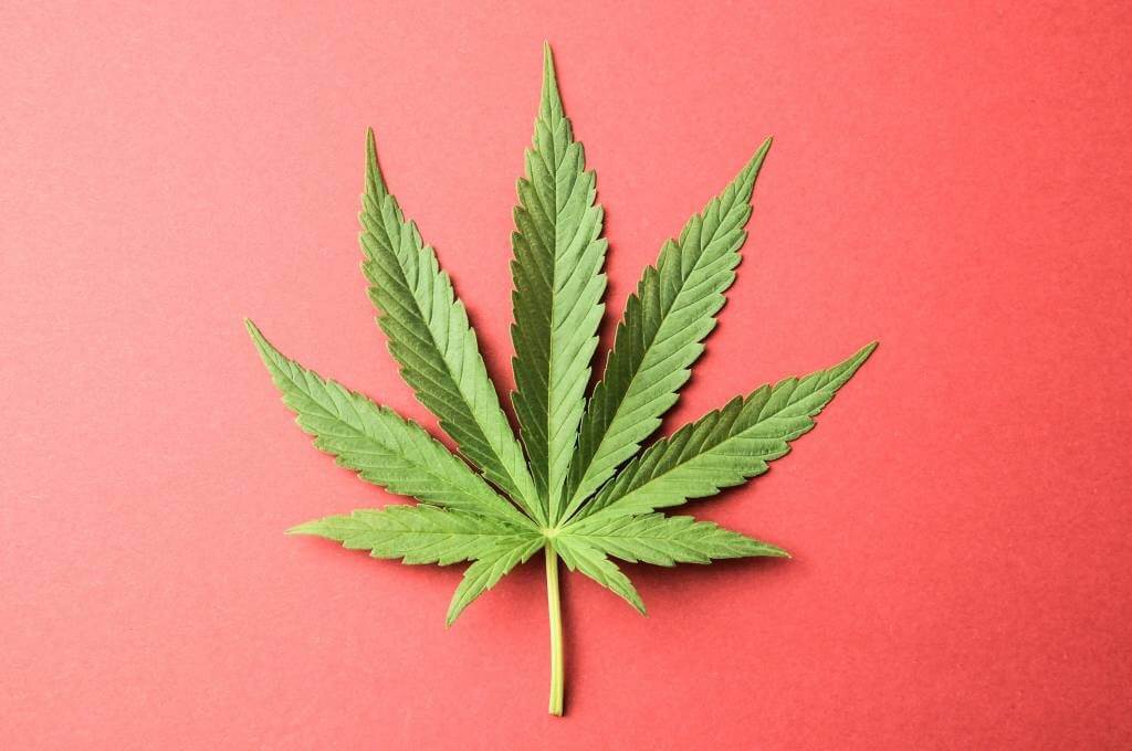 For at forskere sendt marihuana til den internasjonale ROMSTASJONEN?