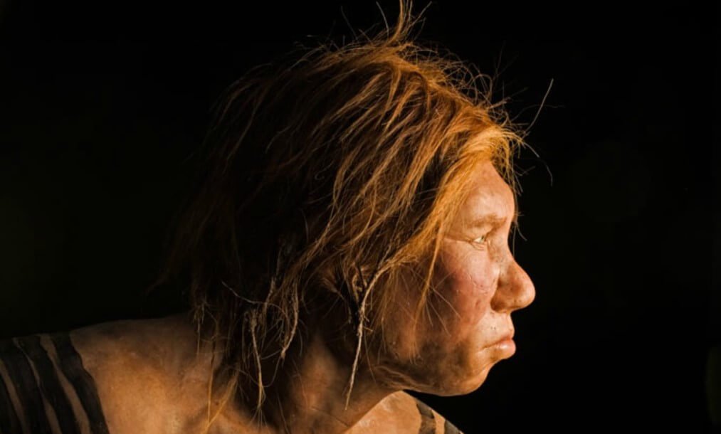 Warum die Wissenschaftler so sicher, dass die Neandertaler wurden von erfahrenen Schwimmern?