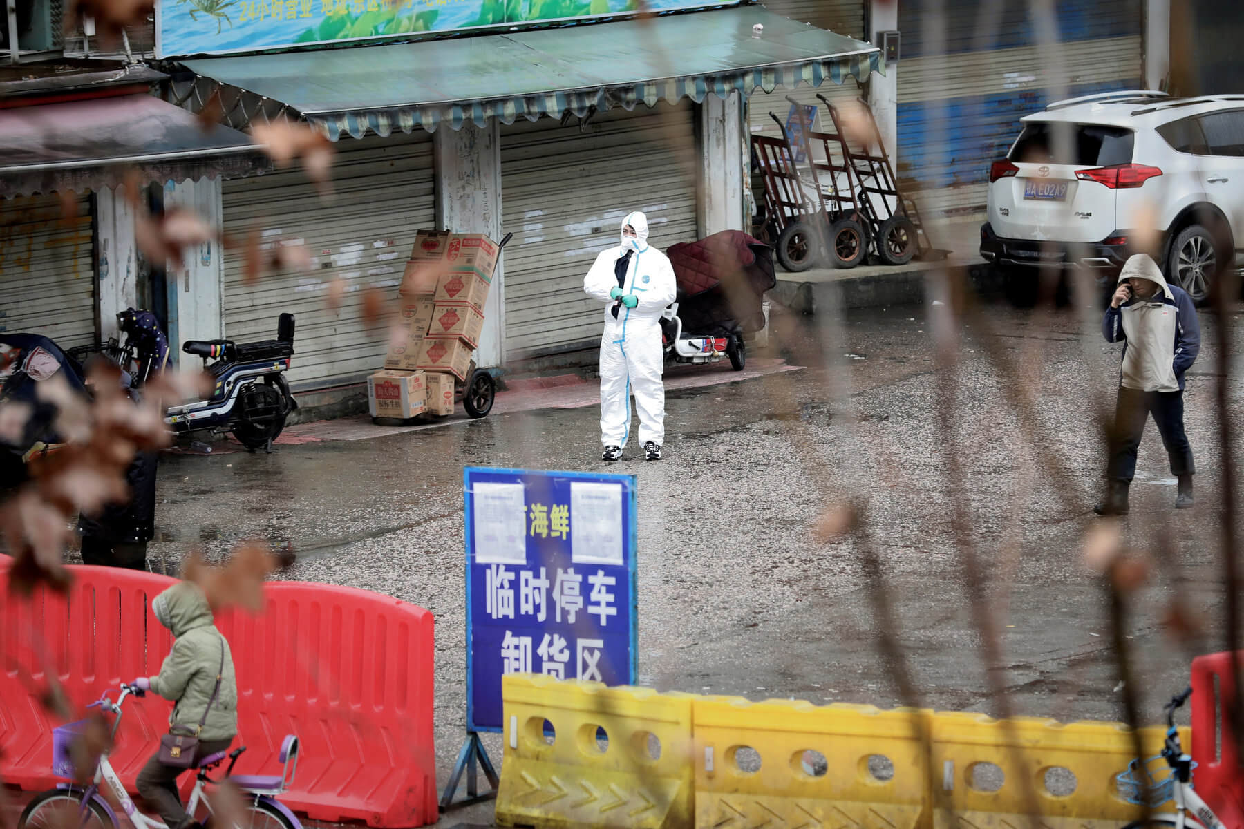 China hat 13 Städte wegen der Coronavirus, aber eine mögliche Ursache der Epidemie nennen Schlangen