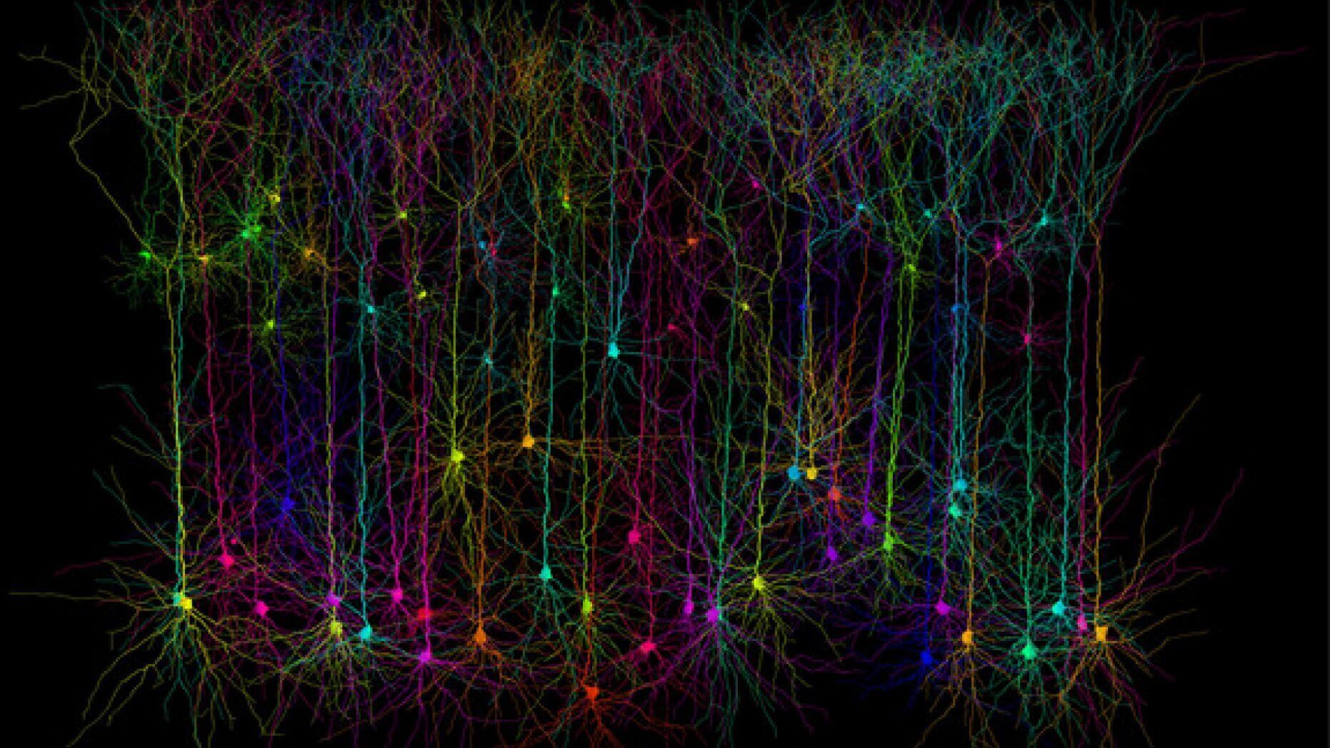 研究者已经发现了一个未知的信号，在人类的大脑