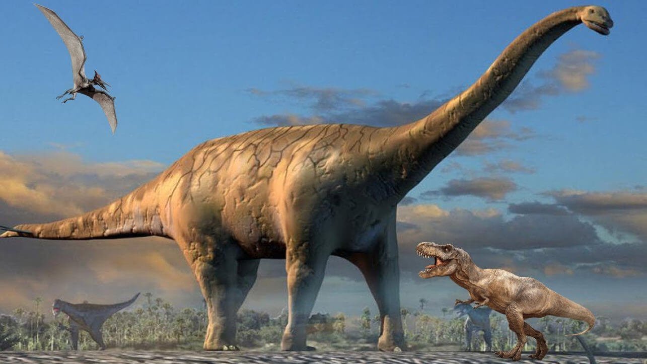 Four-legged dinosaurs could walk on two legs, but only in certain conditions