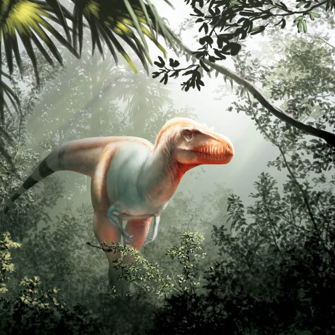 Fundet resterne af en stor dinosaur, der kunne spise alle