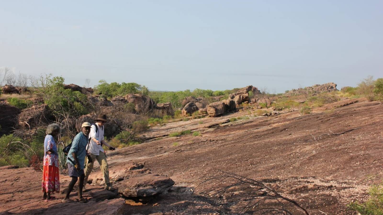 What our ancestors ate? Discovered the remnants of food left by the age of 65 thousand years