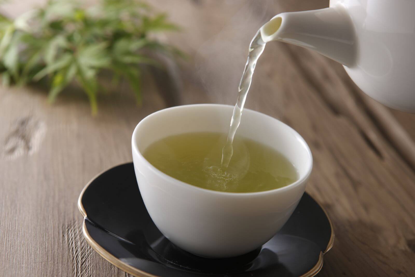 Regular consumption of tea is associated with increased life expectancy