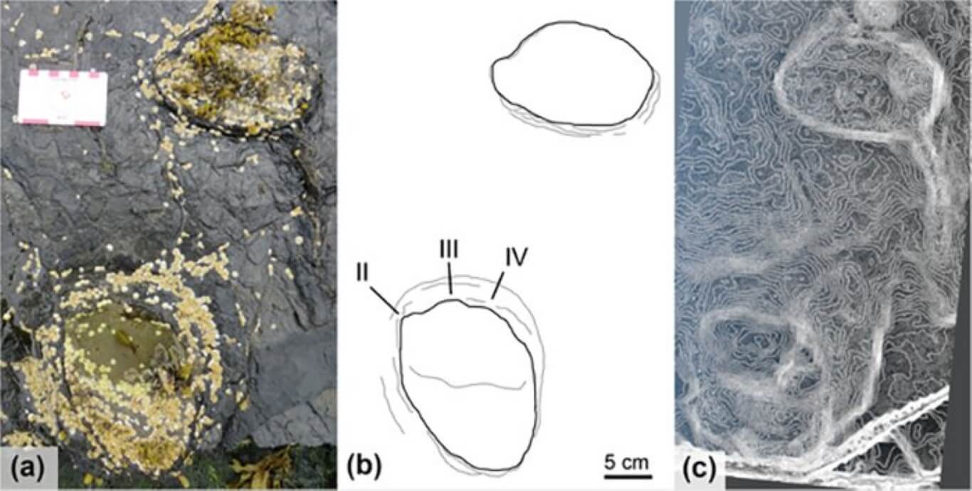 In quali paesi è necessario cercare le ossa di dinosauro e se è possibile fare soldi su di esso?