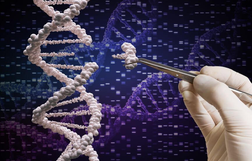 Scientists were able to cure blindness with the help of the technology of gene editing