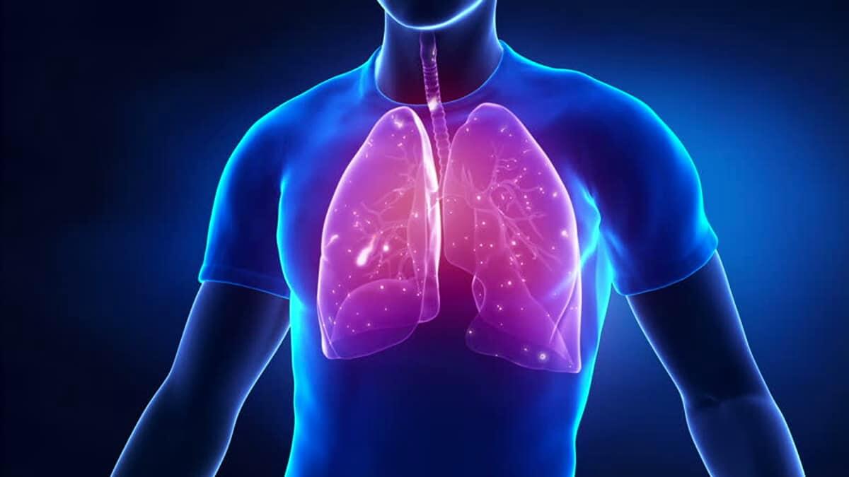 ¿Por qué una persona aire y cómo funcionan los pulmones?