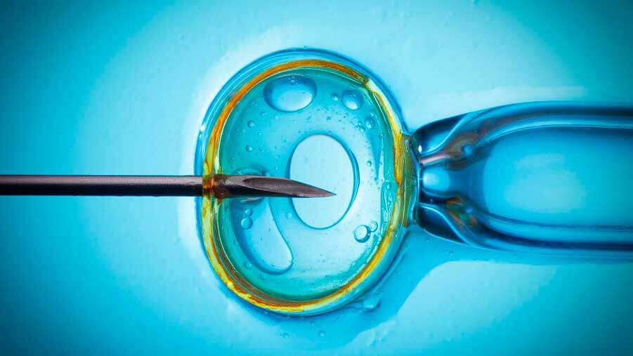 Is it true that IVF is born more boys than girls?