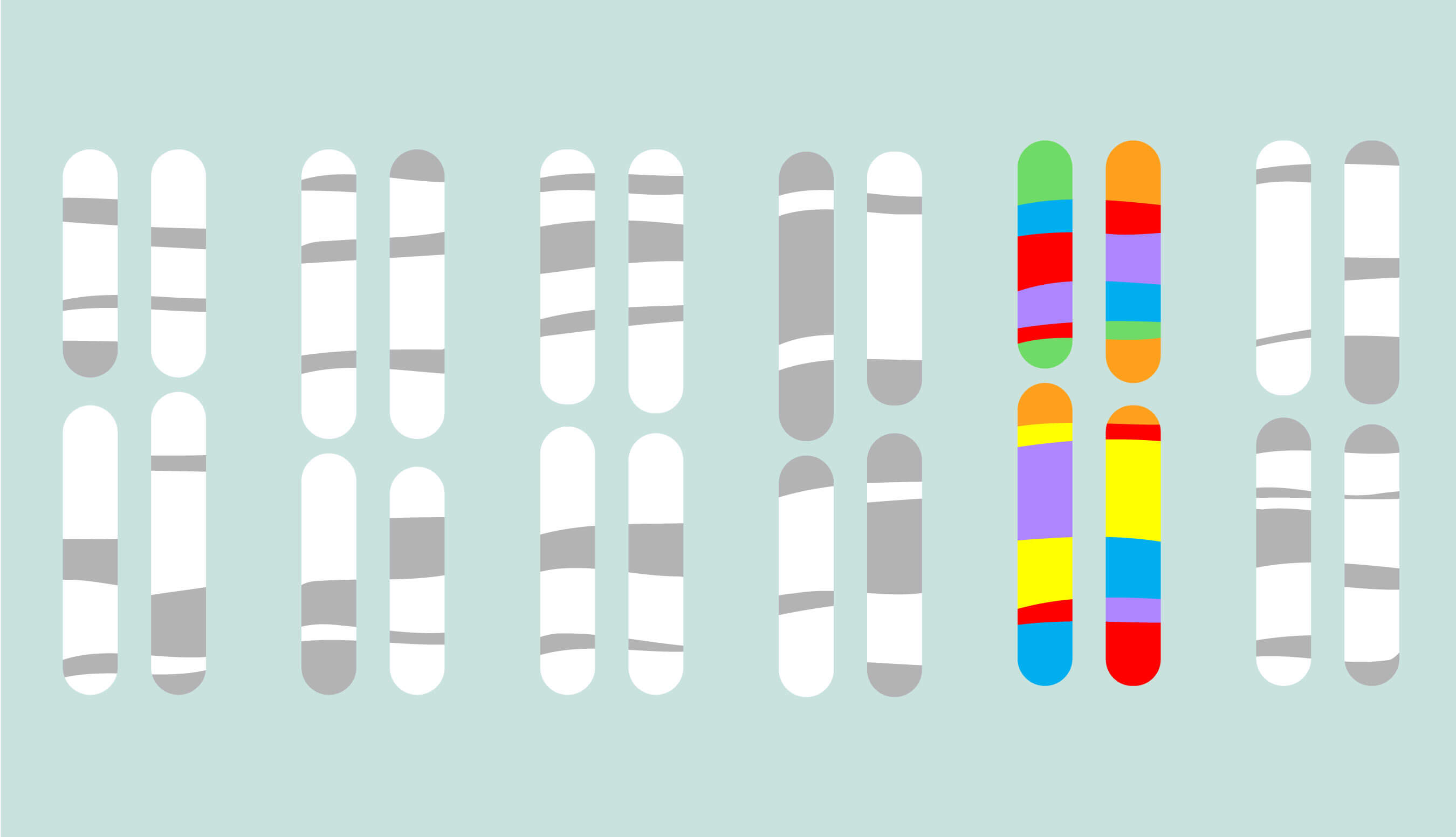 Determinar si los genes de la orientación sexual?