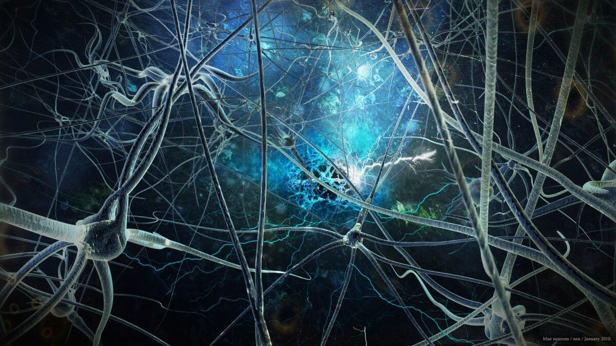 Entdeckt neuronalen verbindungen, die verantwortlich für die Entstehung des Bewusstseins