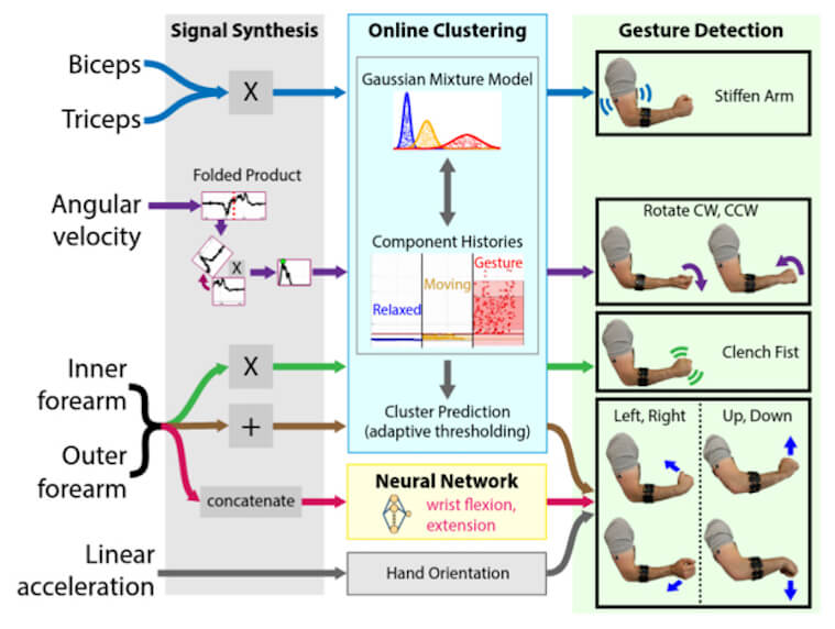 American engineers have learned to control the drone hand muscles