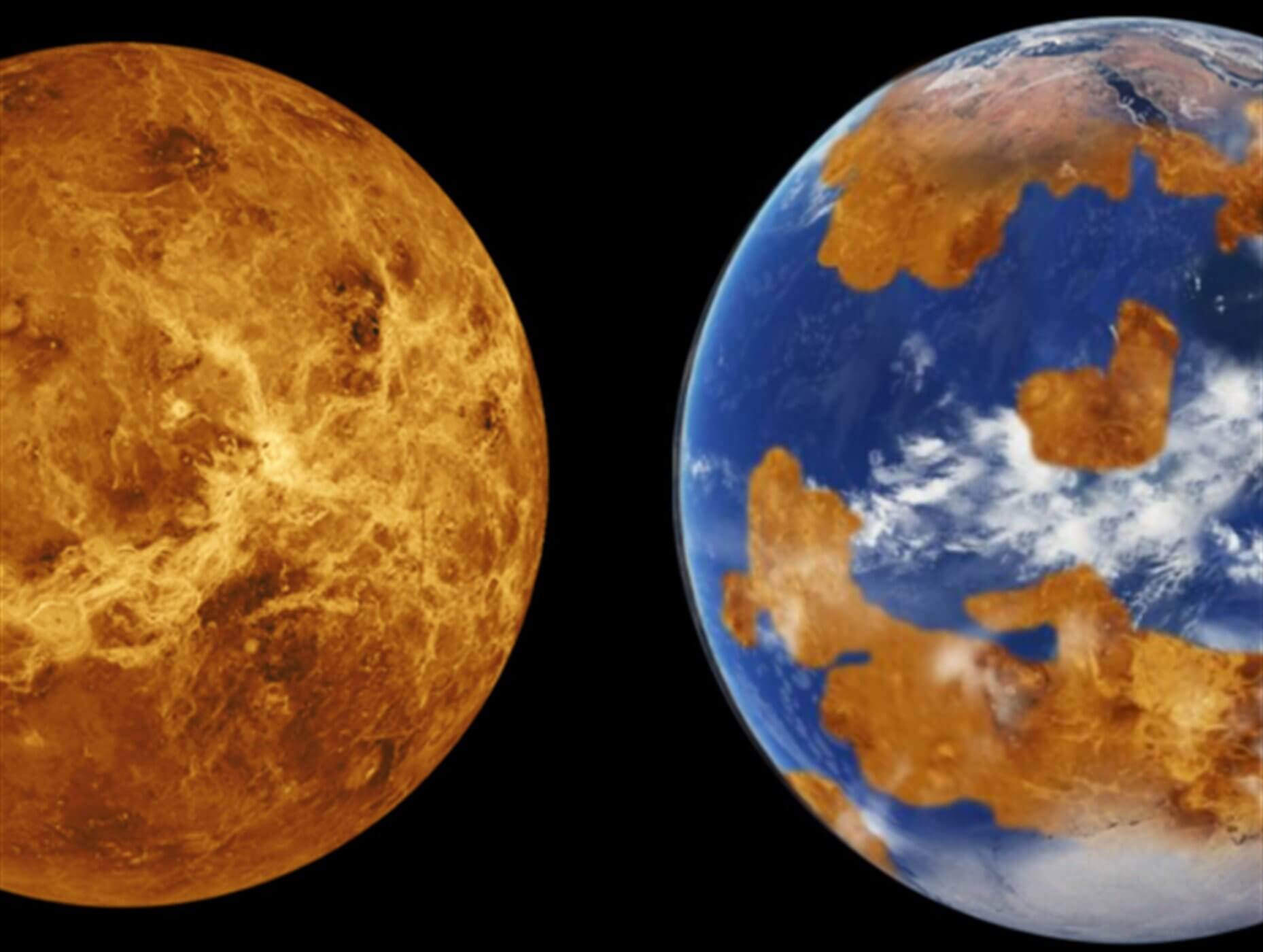 Is there life in the clouds of Venus?