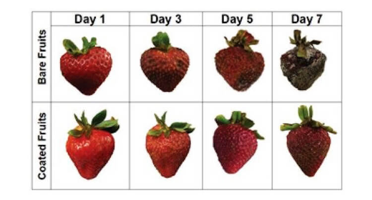 Se ha encontrado una manera de prolongar la vida útil de la fruta a la semana