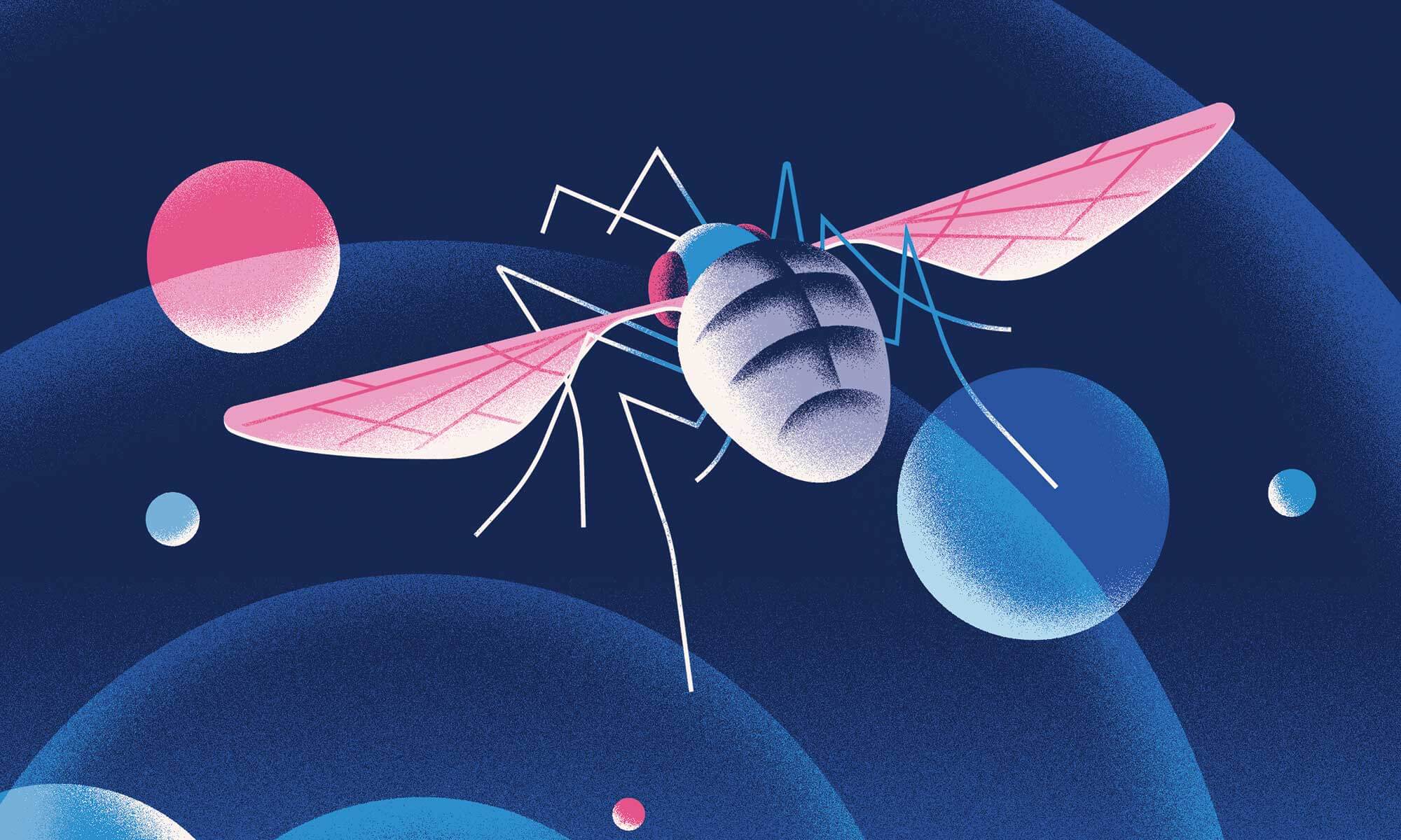 Scientists have measured the minds of fruit flies. But why?