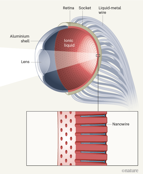 Créé yeux artificiels, qui voit dans le noir