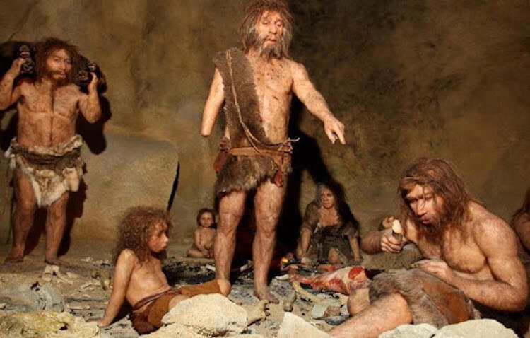 Come gli uomini di neanderthal hanno trattato la pelle, lasciandola morbida e resistente all'acqua