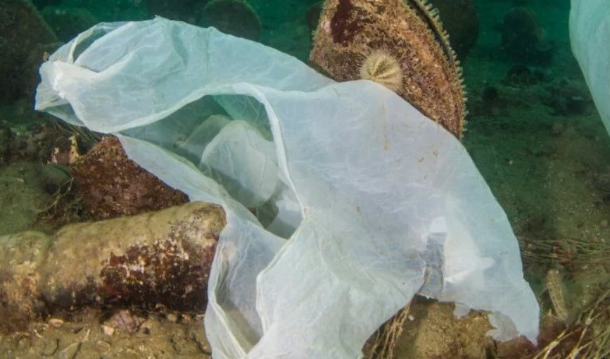 Che succede con i sacchetti di plastica, gettati in acqua?