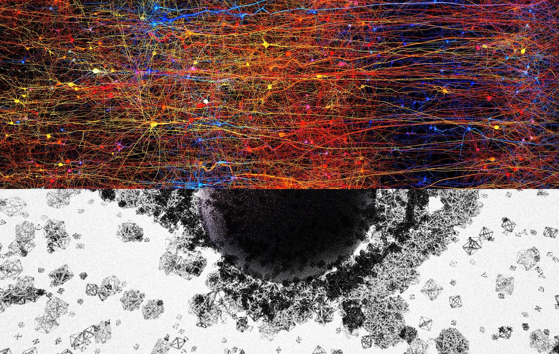 The brain builds a strange structure in 11 dimensions