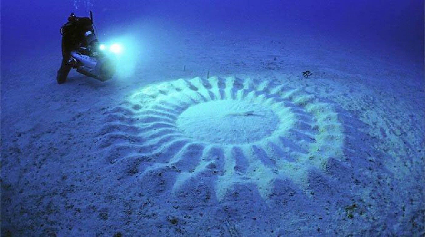 On the seabed there are mysterious circles: what is it?