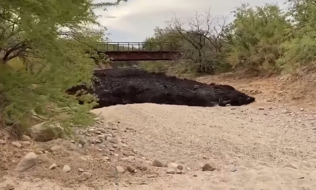 In den USA bildete sich der «schwarze Fluss»: als es gefährlich für Fische und Menschen?